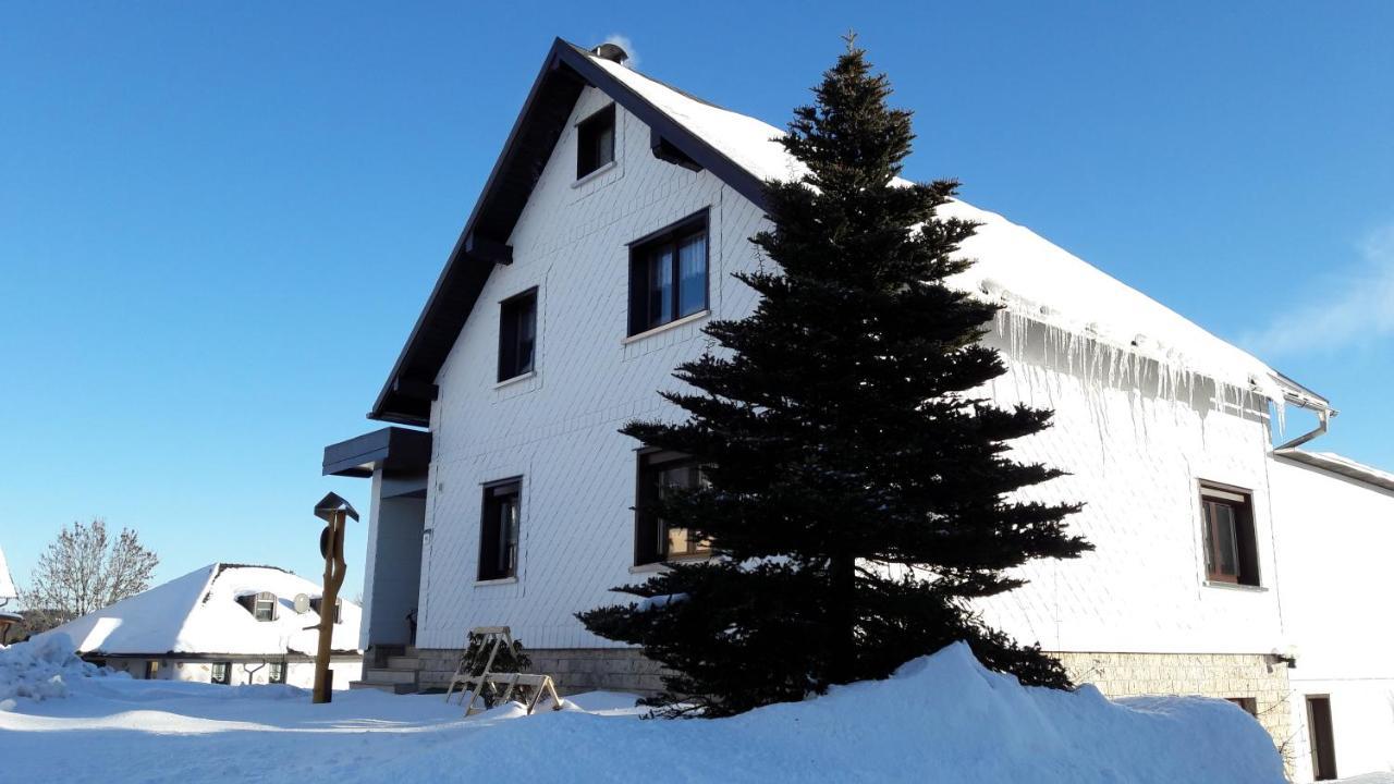 Ferienwohnung Hauptmann Frauenwald Extérieur photo